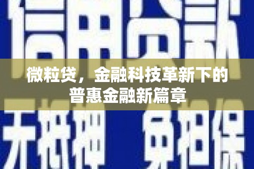 清水河微粒贷，金融科技革新下的普惠金融新篇章