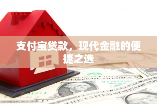 清水河支付宝贷款，现代金融的便捷之选