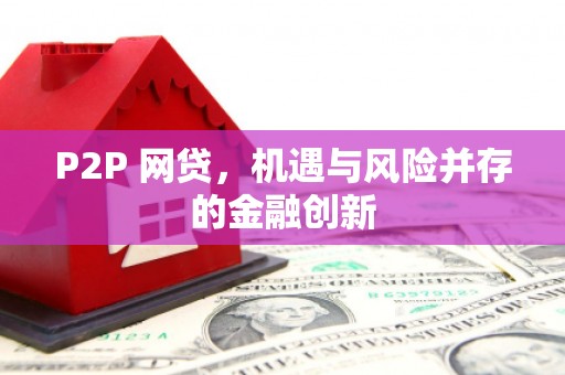 清水河P2P 网贷，机遇与风险并存的金融创新
