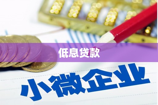 清水河低息贷款
