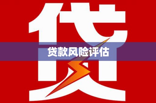 清水河贷款风险评估