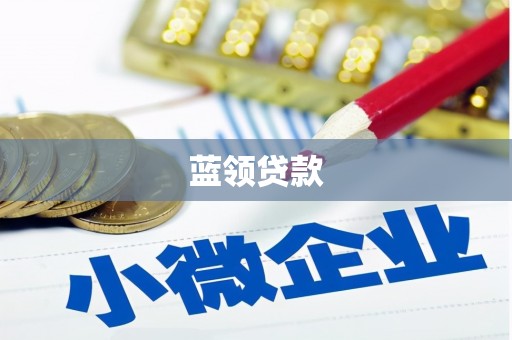 清水河蓝领贷款