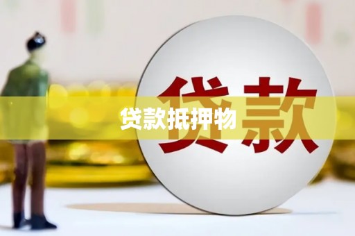 清水河贷款抵押物