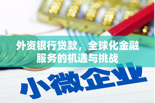 清水河外资银行贷款，全球化金融服务的机遇与挑战
