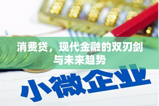 清水河消费贷，现代金融的双刃剑与未来趋势