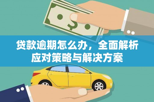 清水河贷款逾期怎么办，全面解析应对策略与解决方案