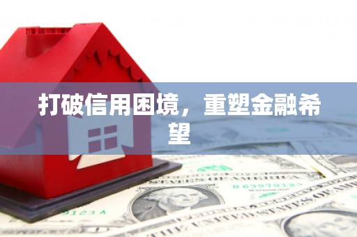 清水河打破信用困境，重塑金融希望