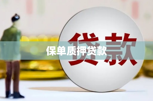 清水河保单质押贷款