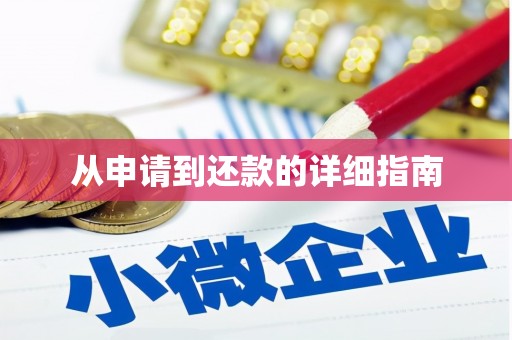 清水河从申请到还款的详细指南