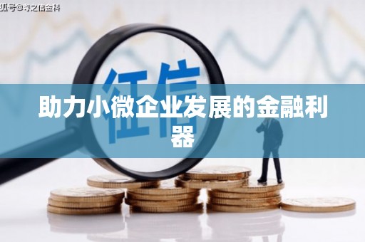 清水河助力小微企业发展的金融利器