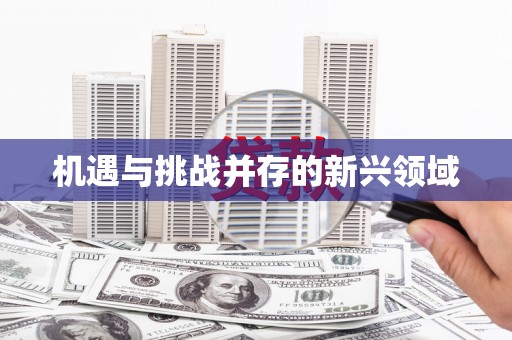 清水河机遇与挑战并存的新兴领域