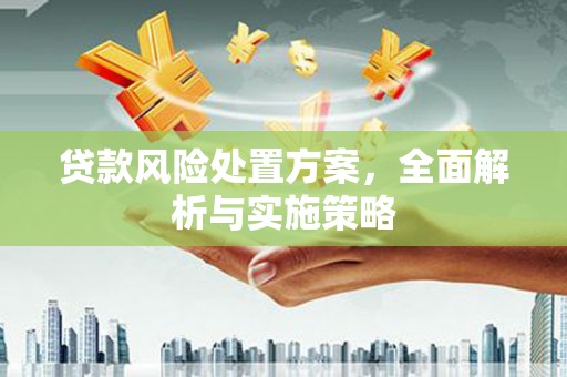 清水河贷款风险处置方案，全面解析与实施策略