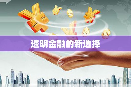 清水河透明金融的新选择