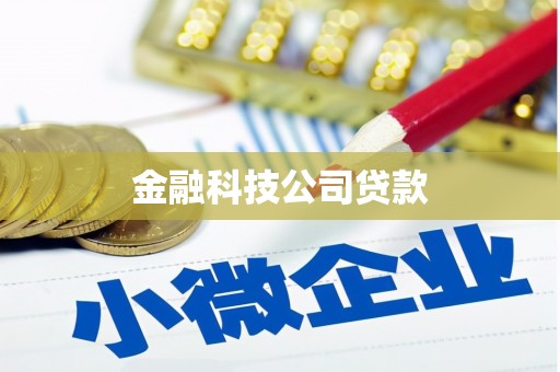 清水河金融科技公司贷款