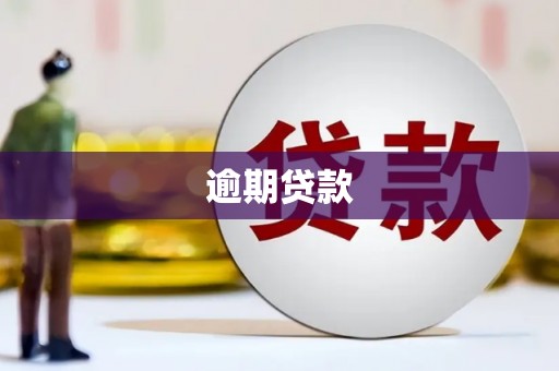 清水河逾期贷款