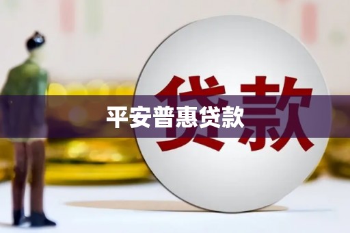 清水河平安普惠贷款